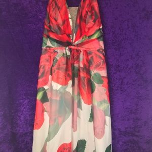 Never Worn Roses Dress by Cachet